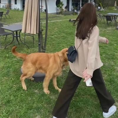 狂热粉丝